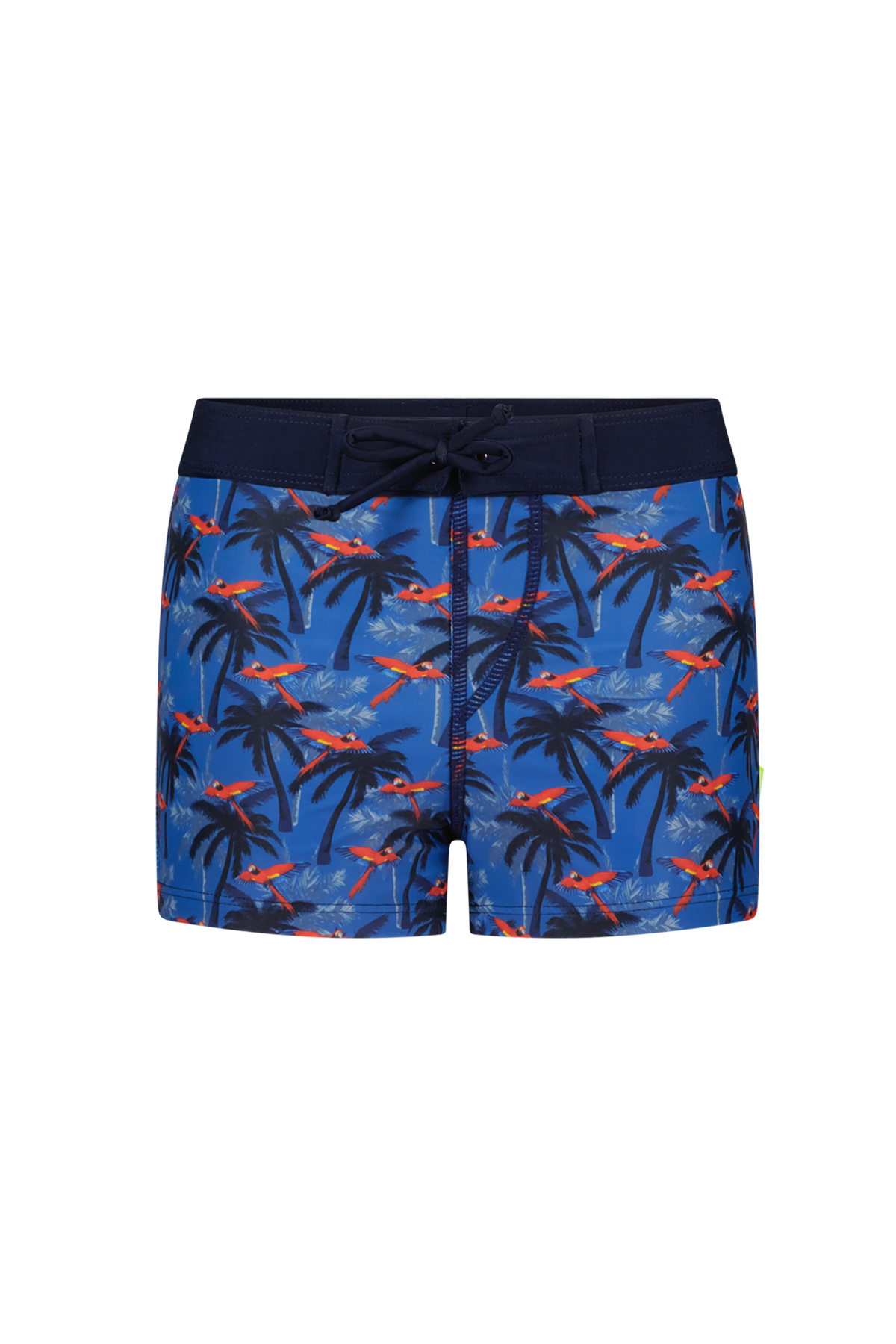 Nevada Just Beach boys brief swim shorts Parrot palm