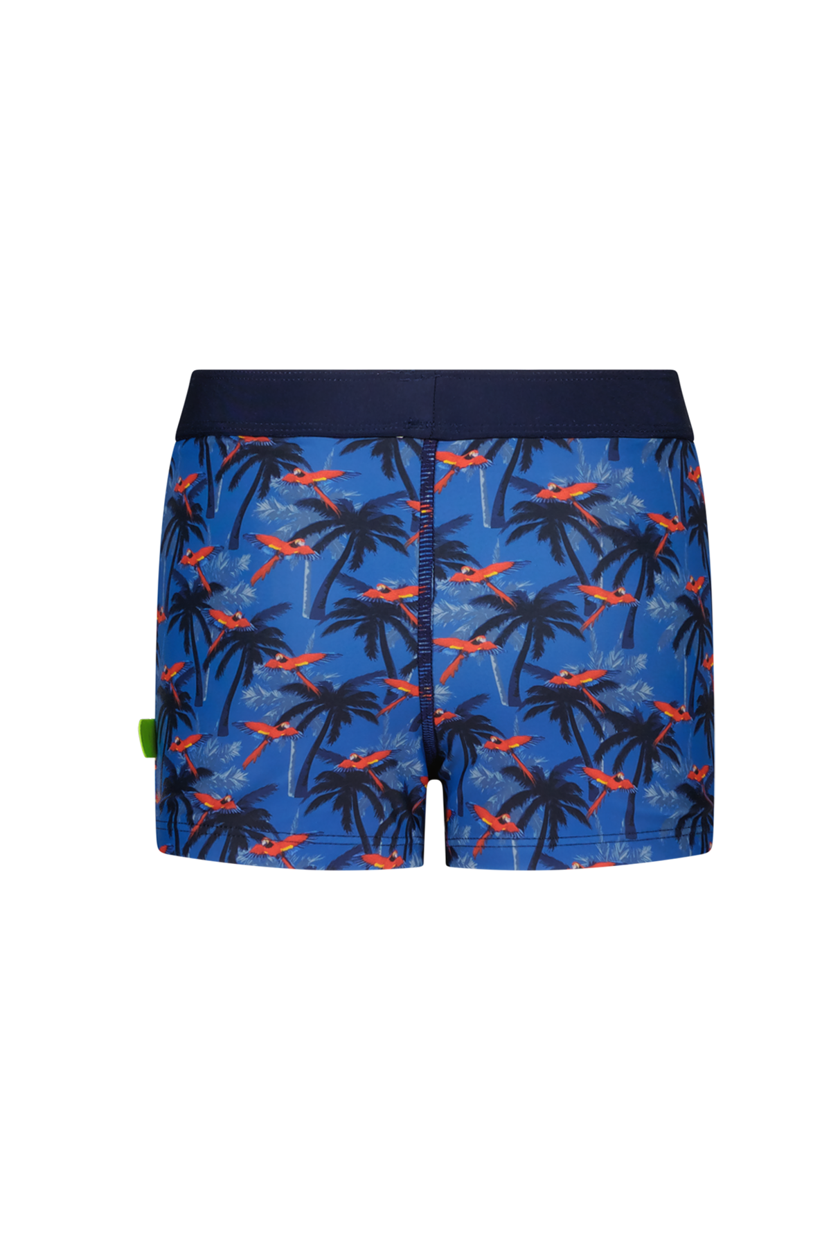 Nevada Just Beach boys brief swim shorts Parrot palm