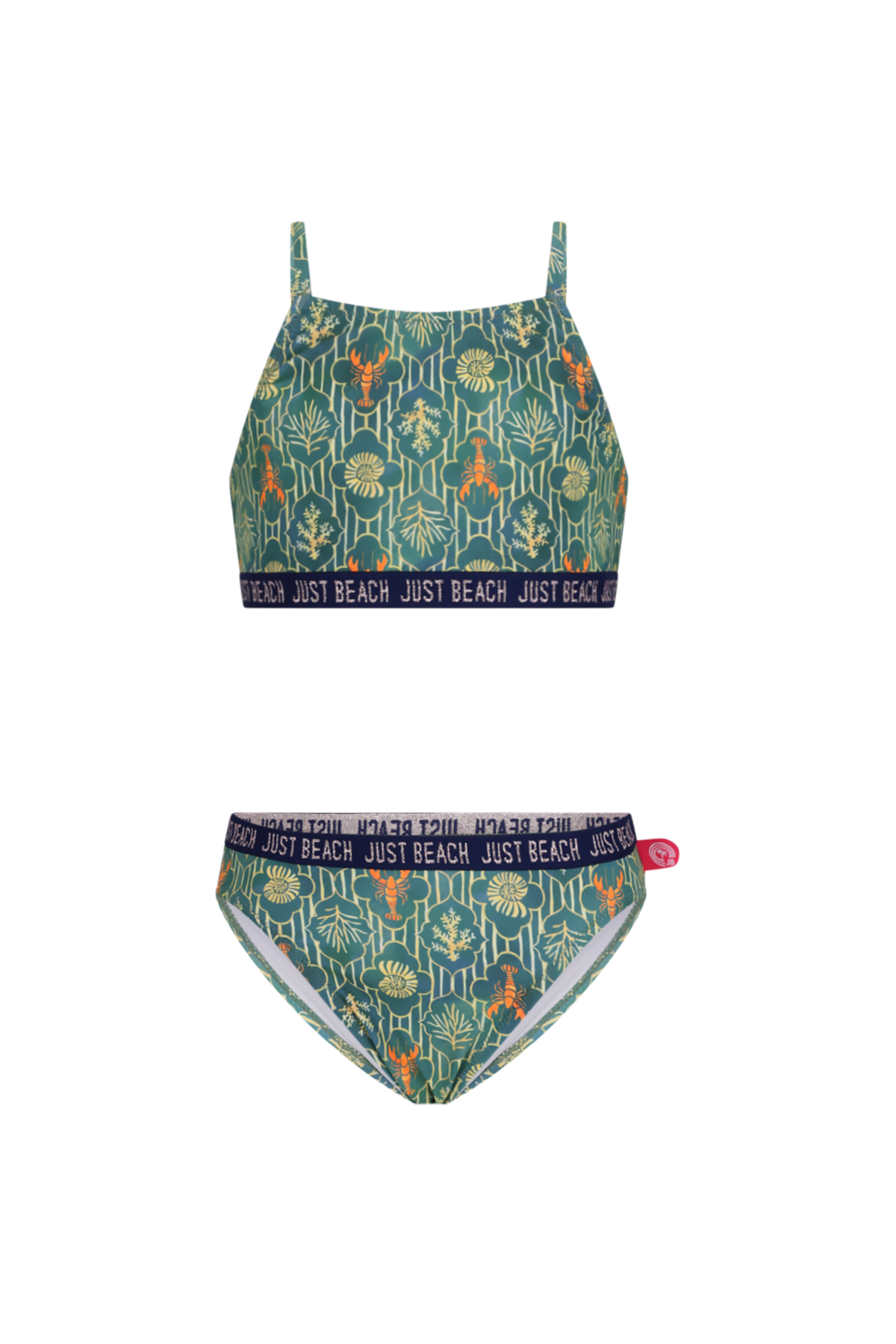 Florida bikini Lobster