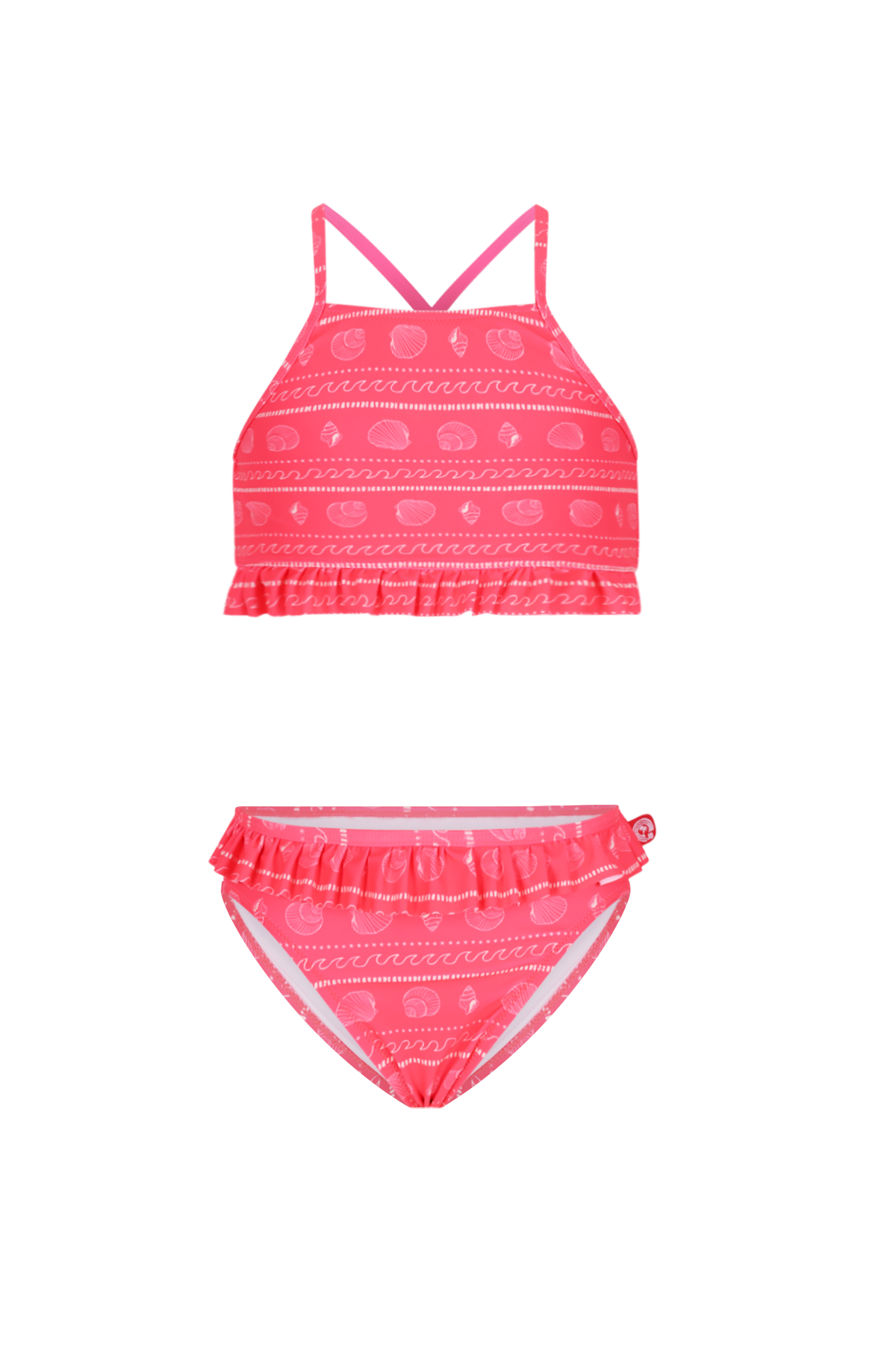 Barbados bikini Shells