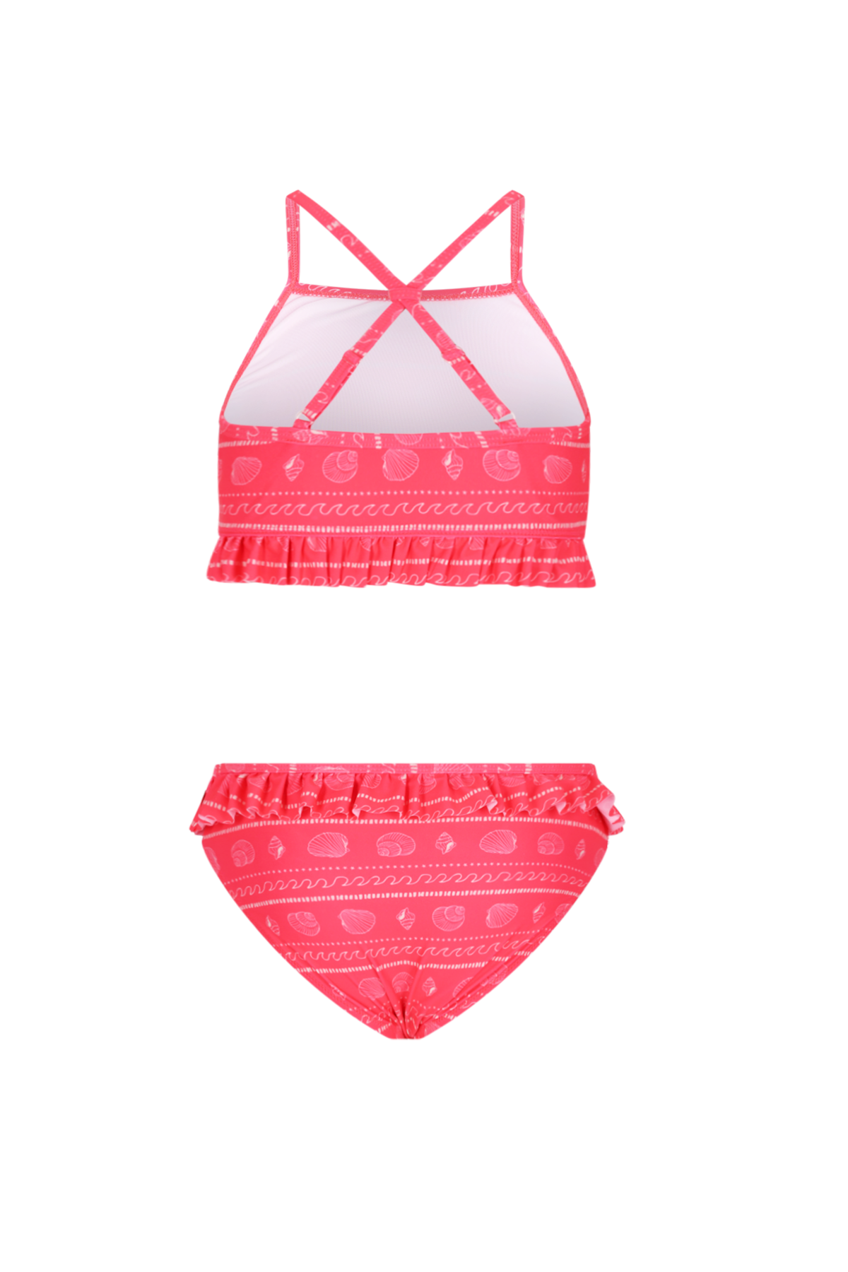 Barbados bikini Shells