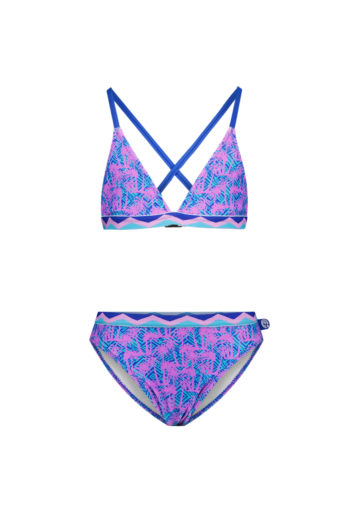 Bali Bikini Tropical Palm