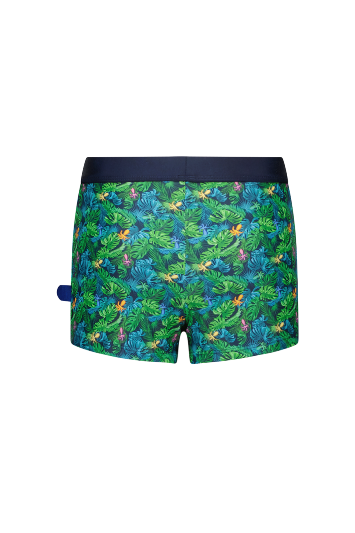 Nevada swimshort Ocean Life