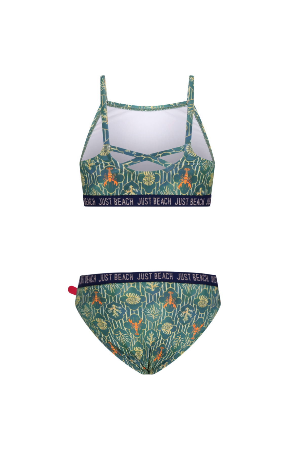 Florida bikini Lobster