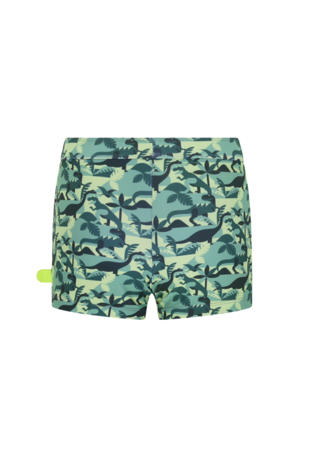 Nevada swimshort Dinosaur