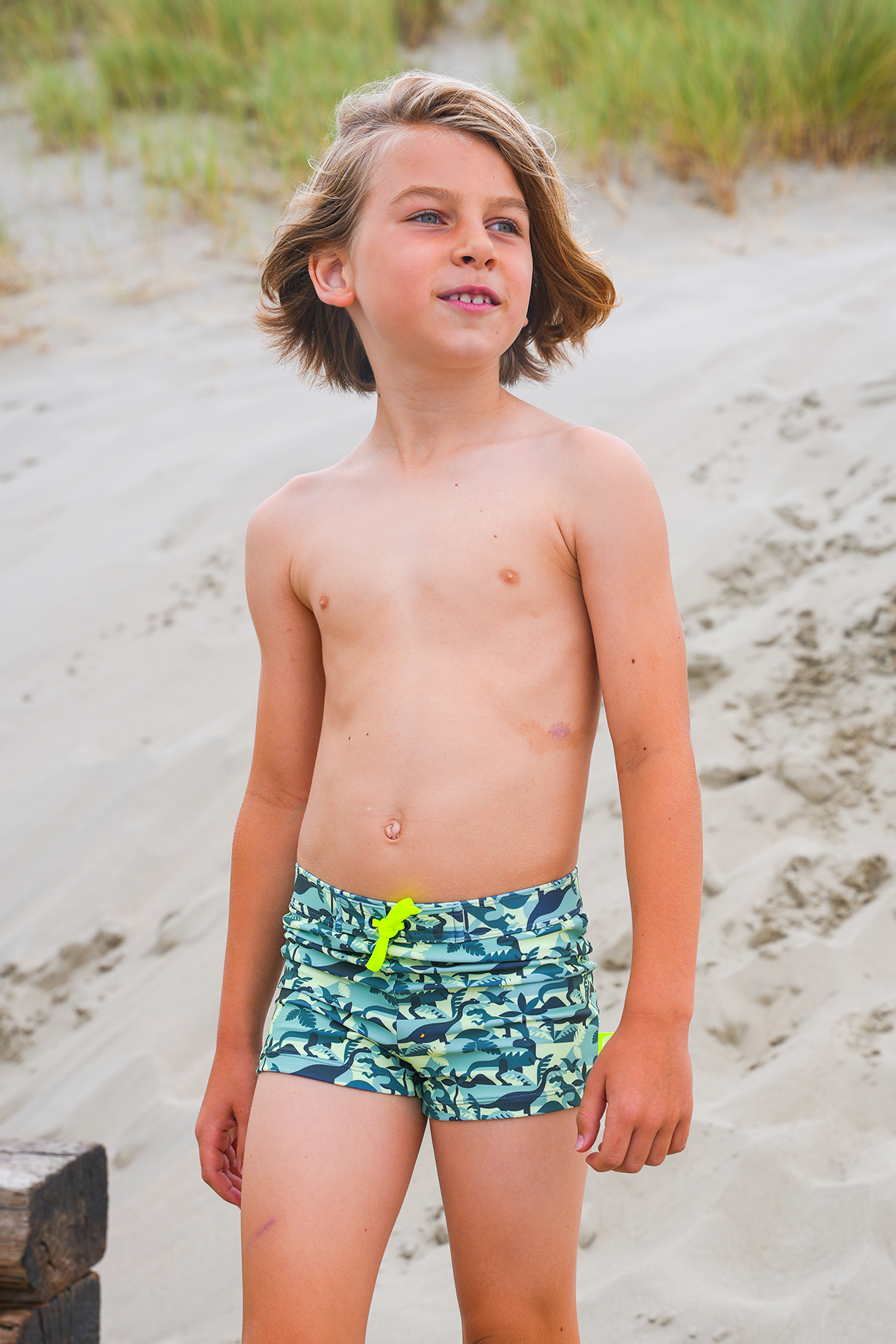 Nevada swimshort Dinosaur